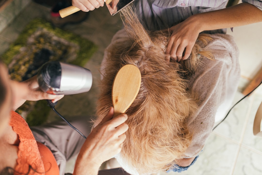 Cat Grooming Services